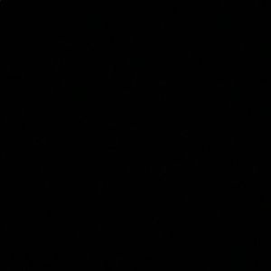 Meet your Posher, Hunter